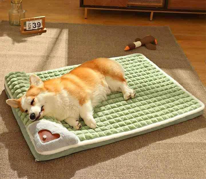 CAMA PARA PERRO